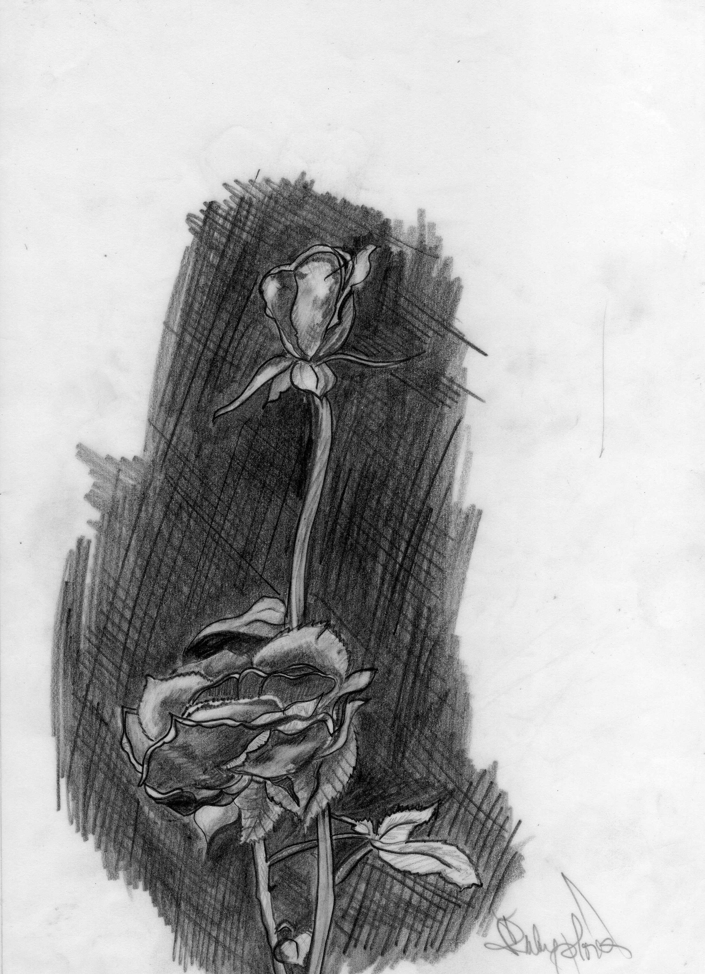 img031